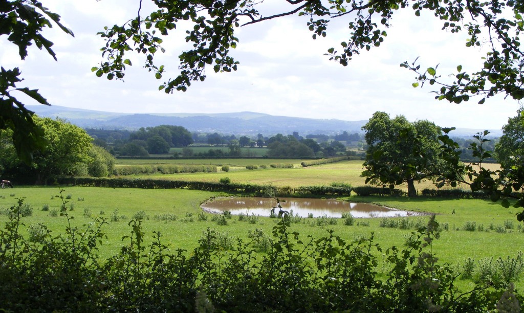 View from Wilmslow Road Woodford across the Pennine Hills