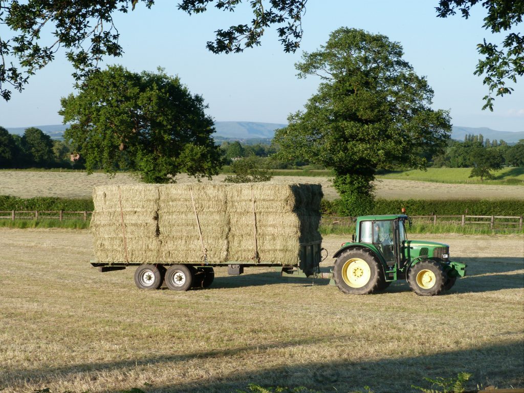 Tractor pulling baled hay in Woodford